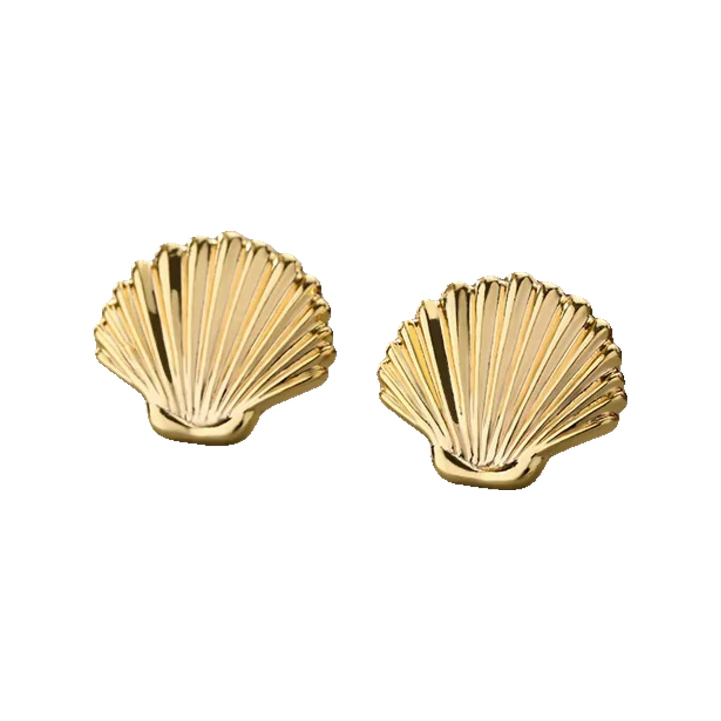 gold-tone scallop shell stud earrings on a muted green surface