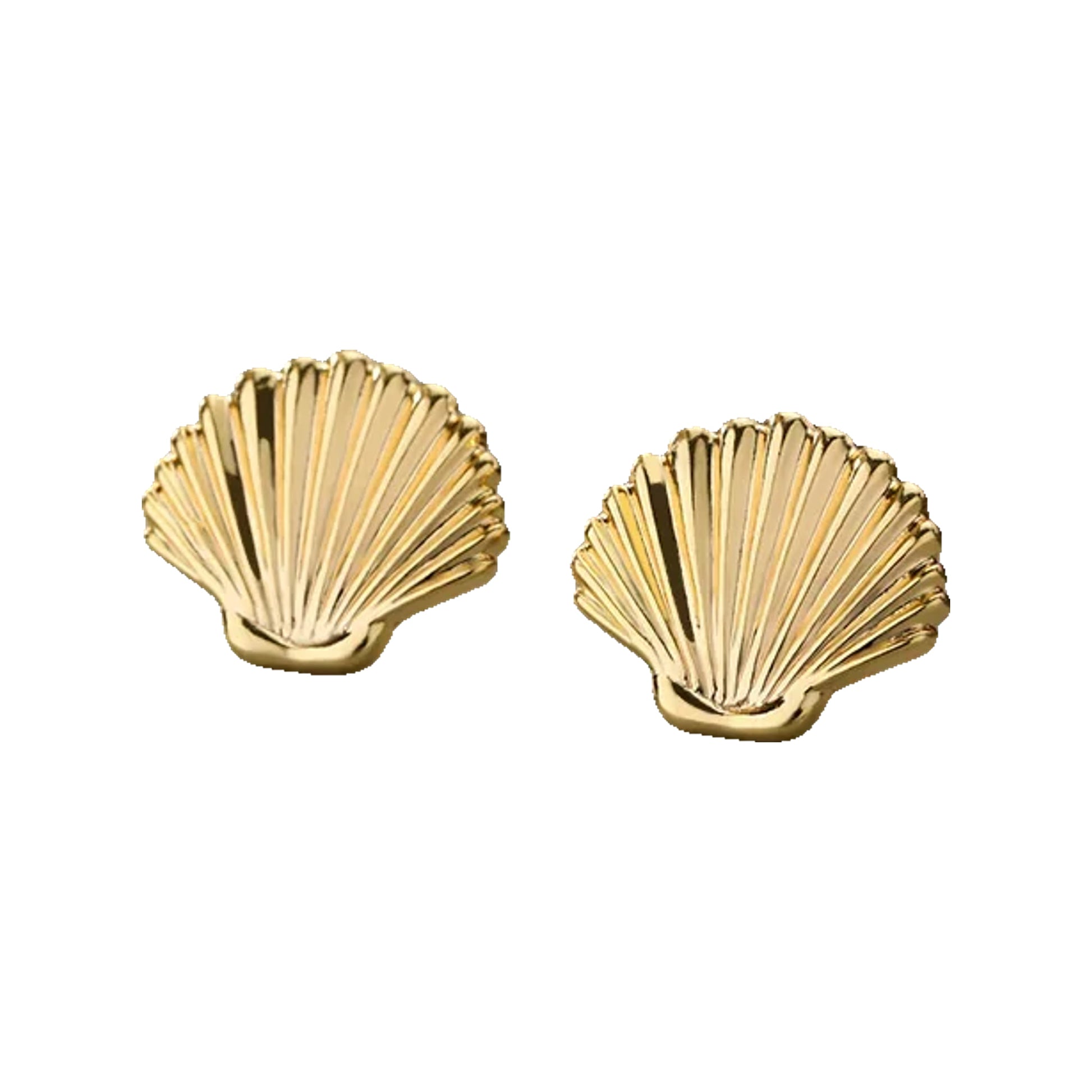 gold-tone scallop shell stud earrings on a muted green surface
