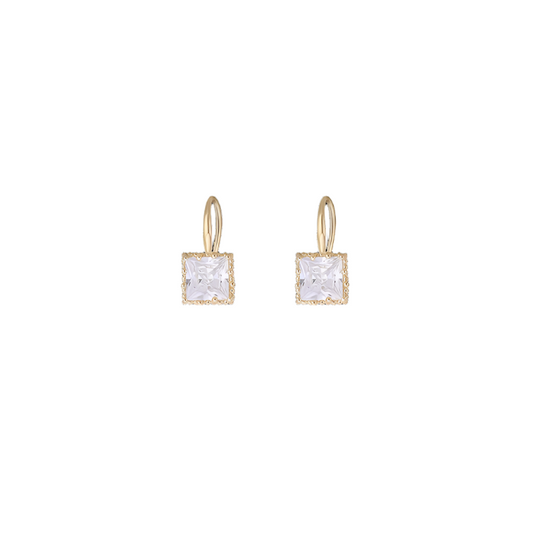 Elegant Minimalist Pendant Earrings